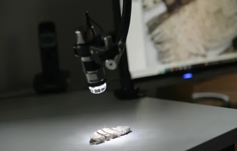 public://2024-02/_MAE0381 (1).JPG