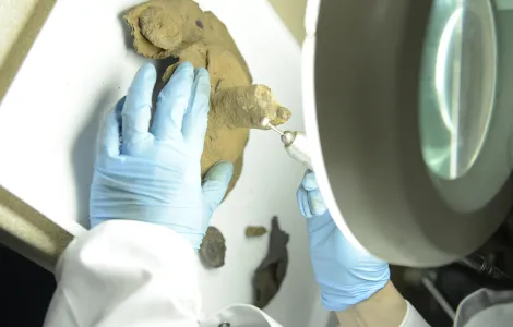 public://2024-03/_MAE0438 kopia.jpg