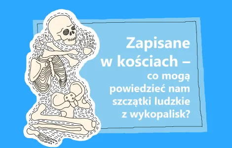public://2025-09/Zapisane w kościach – co mogą powiedzieć nam szczątki ludzkie z wykopalisk.png