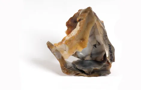 public://2024-08/Mezolit na Kujawach kopia miniatrura_0.jpg